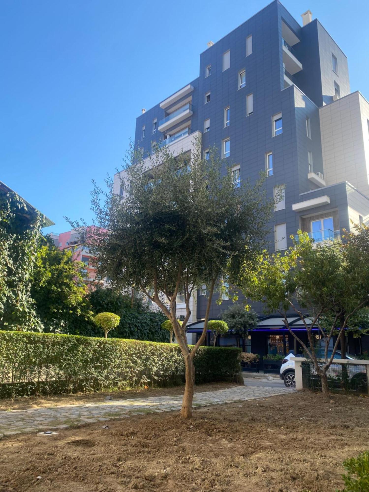 Nebula Tirana